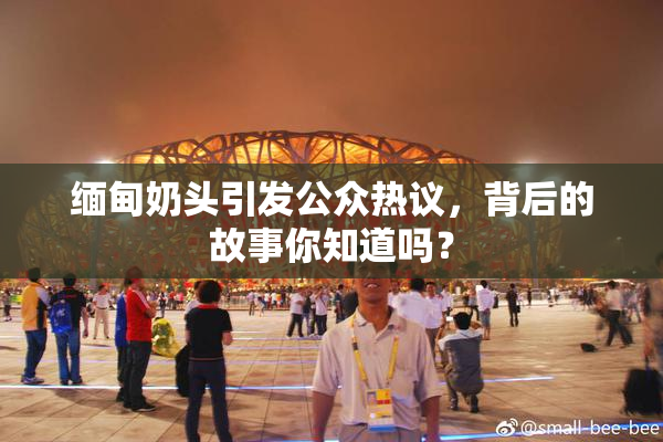 缅甸奶头引发公众热议，背后的故事你知道吗？