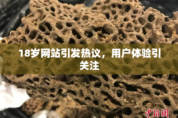 18岁网站引发热议，用户体验引关注