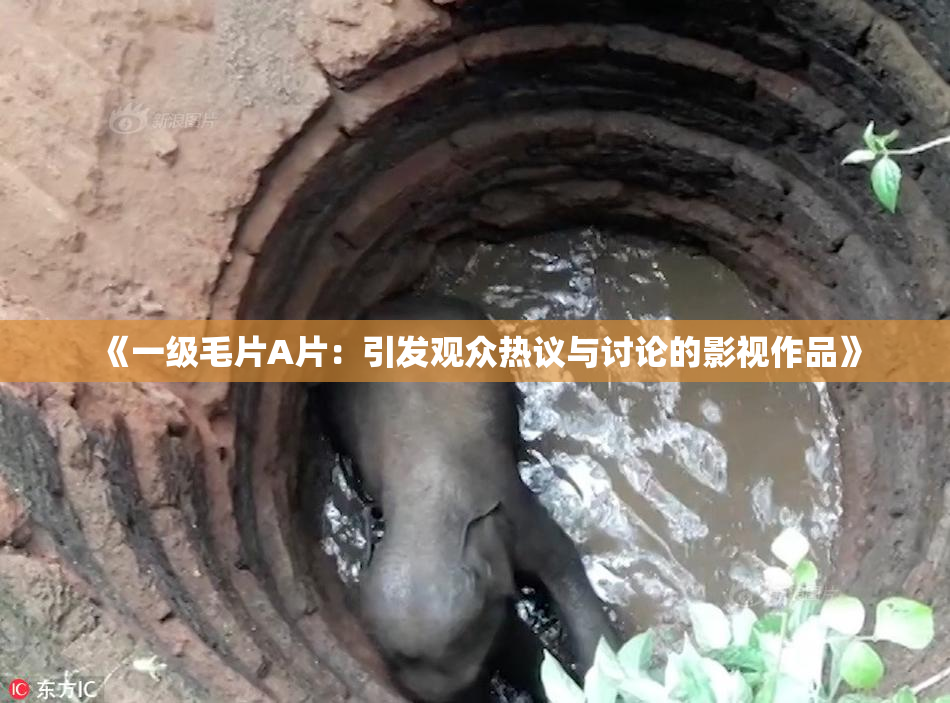 《一级毛片A片：引发观众热议与讨论的影视作品》