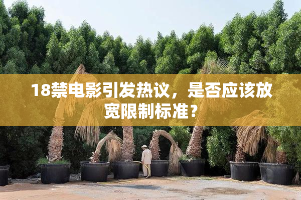 18禁电影引发热议，是否应该放宽限制标准？