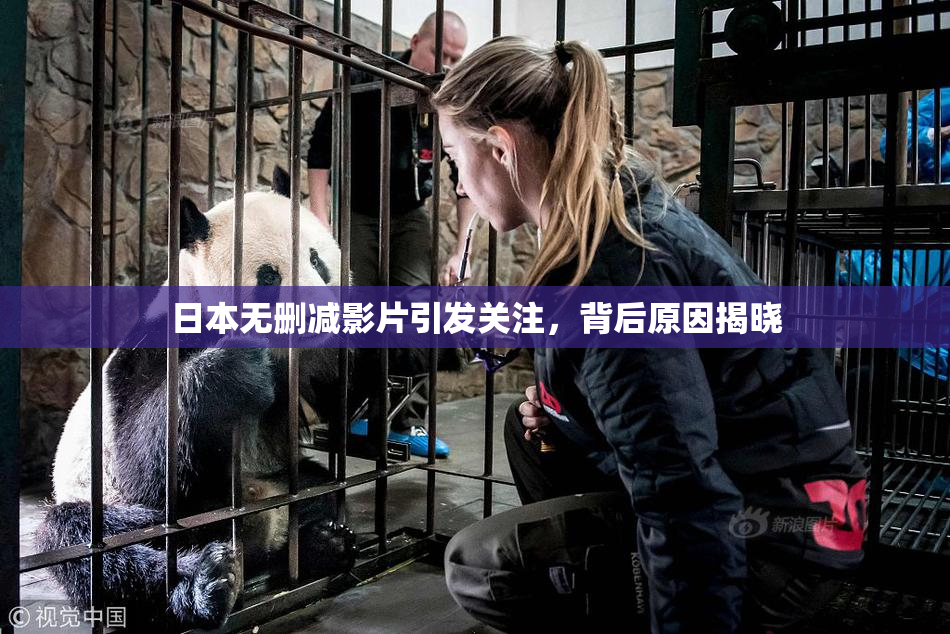 日本无删减影片引发关注，背后原因揭晓