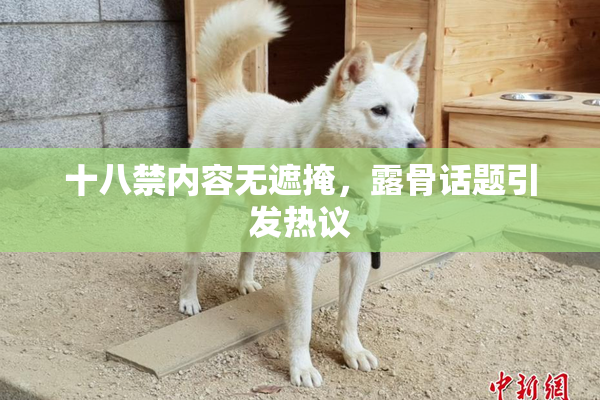 十八禁内容无遮掩，露骨话题引发热议