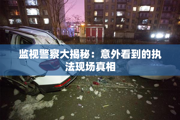 监视警察大揭秘：意外看到的执法现场真相
