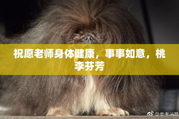 祝愿老师身体健康，事事如意，桃李芬芳