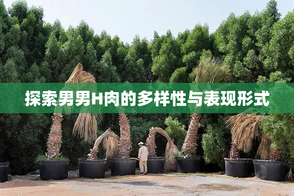 探索男男H肉的多样性与表现形式
