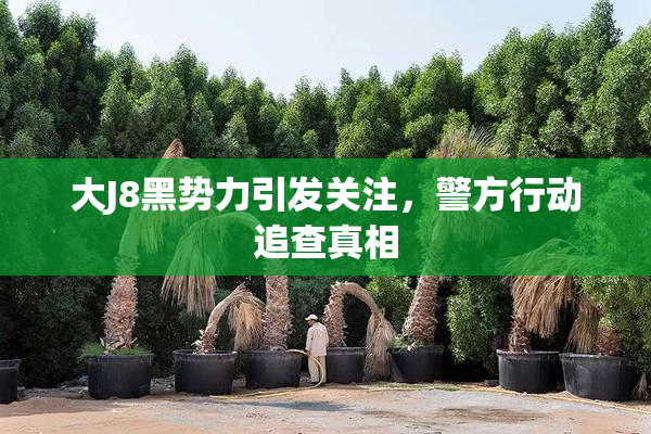 大J8黑势力引发关注，警方行动追查真相