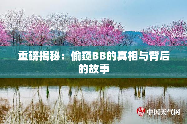 重磅揭秘：偷窥BB的真相与背后的故事