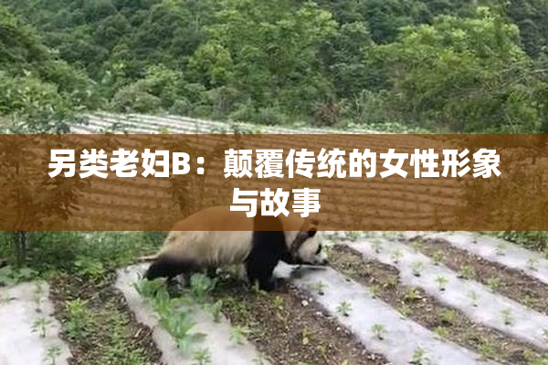 另类老妇B：颠覆传统的女性形象与故事