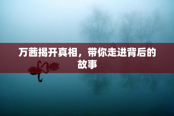 万茜揭开真相，带你走进背后的故事