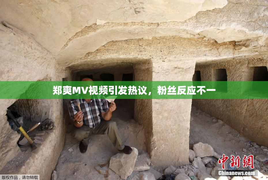郑爽MV视频引发热议，粉丝反应不一