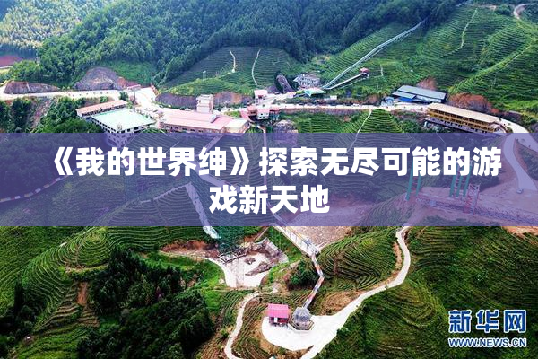 《我的世界绅》探索无尽可能的游戏新天地