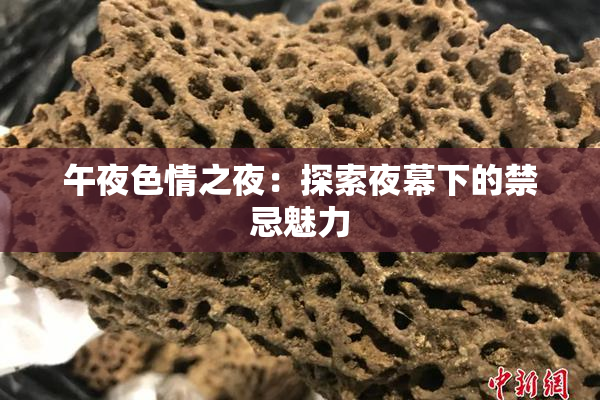 午夜色情之夜：探索夜幕下的禁忌魅力