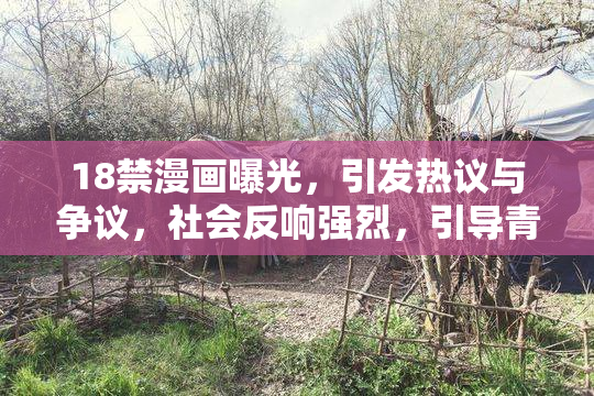 18禁漫画曝光，引发热议与争议，社会反响强烈，引导青少年阅读。