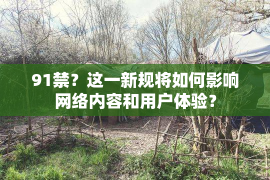91禁？这一新规将如何影响网络内容和用户体验？
