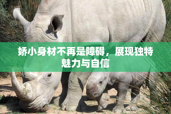 娇小身材不再是障碍，展现独特魅力与自信