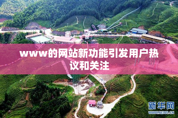 www的网站新功能引发用户热议和关注