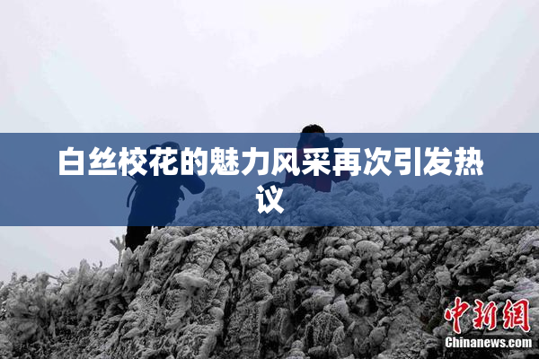 白丝校花的魅力风采再次引发热议