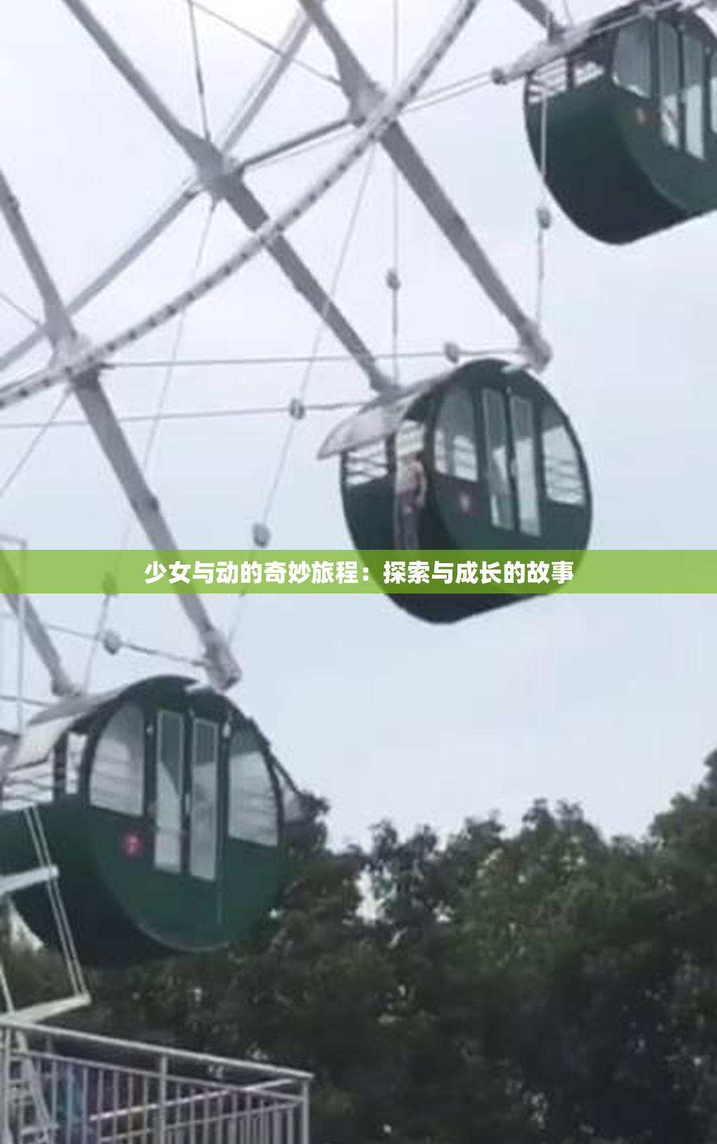 少女与动的奇妙旅程：探索与成长的故事
