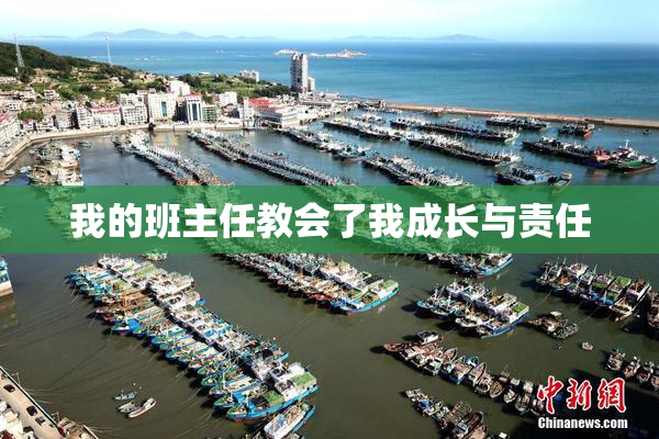 我的班主任教会了我成长与责任
