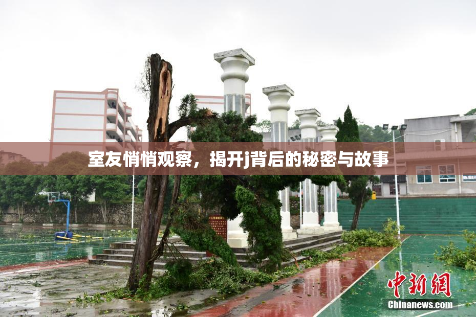 室友悄悄观察，揭开j背后的秘密与故事