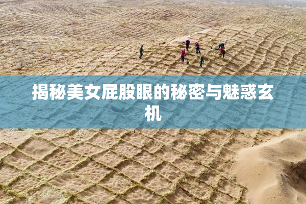 揭秘美女屁股眼的秘密与魅惑玄机