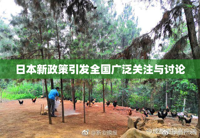 日本新政策引发全国广泛关注与讨论