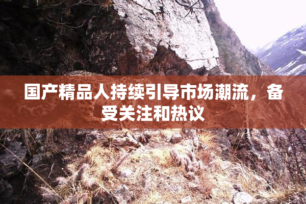 国产精品人持续引导市场潮流，备受关注和热议