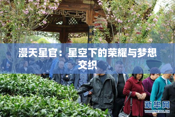 漫天星官：星空下的荣耀与梦想交织
