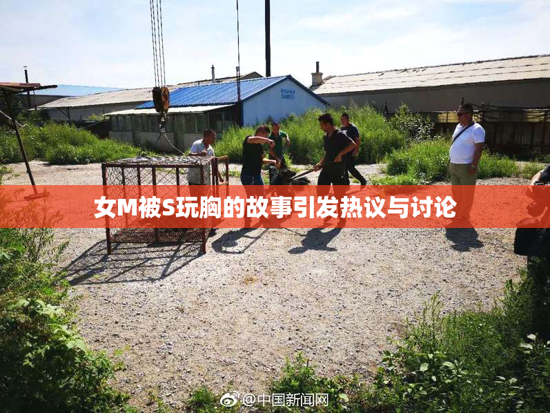 女M被S玩胸的故事引发热议与讨论