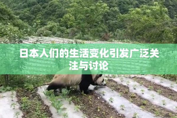 日本人们的生活变化引发广泛关注与讨论