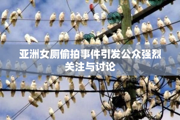 亚洲女厕偷拍事件引发公众强烈关注与讨论