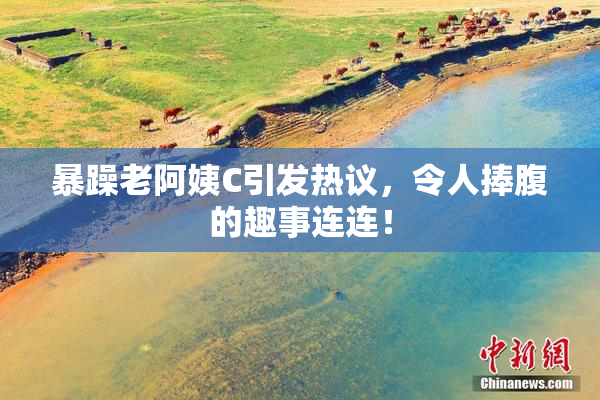 暴躁老阿姨C引发热议，令人捧腹的趣事连连！