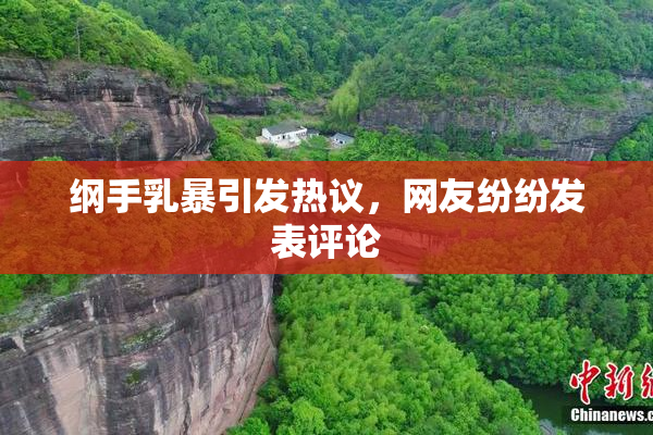 纲手乳暴引发热议，网友纷纷发表评论