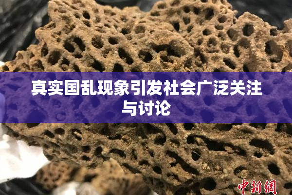 真实国乱现象引发社会广泛关注与讨论