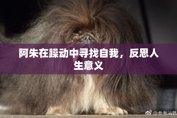 阿朱在躁动中寻找自我，反思人生意义