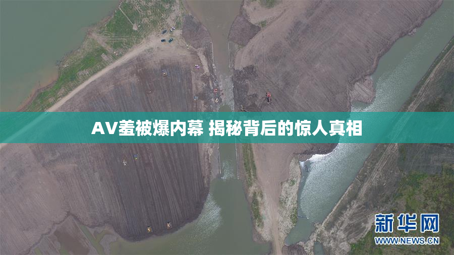 AV羞被爆内幕 揭秘背后的惊人真相