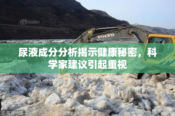 尿液成分分析揭示健康秘密，科学家建议引起重视