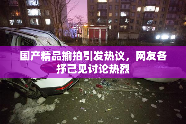 国产精品揄拍引发热议，网友各抒己见讨论热烈