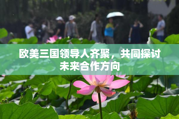 欧美三国领导人齐聚，共同探讨未来合作方向