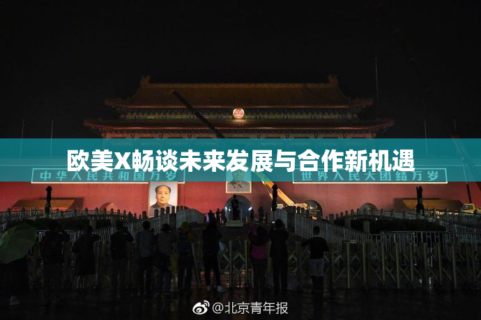 欧美X畅谈未来发展与合作新机遇
