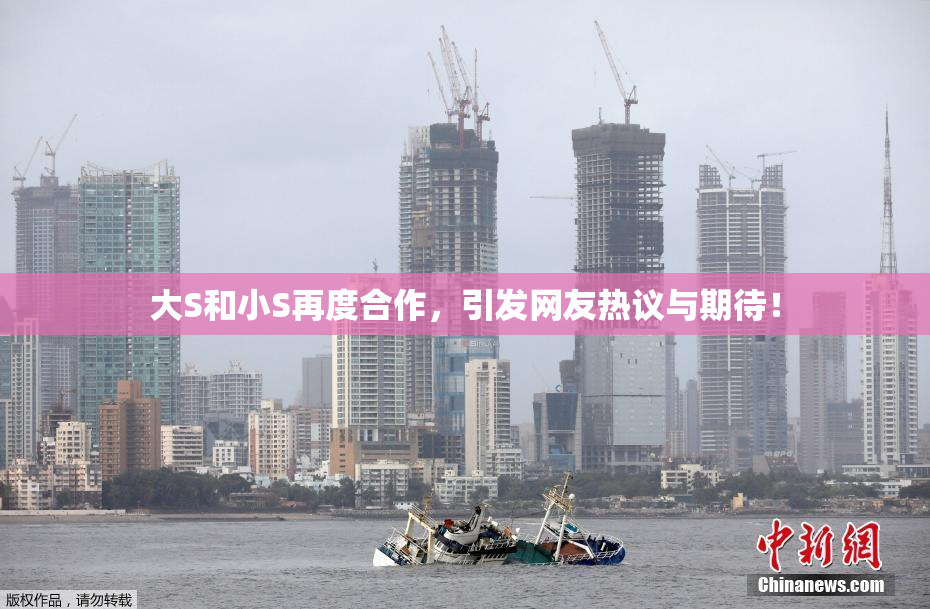 大S和小S再度合作，引发网友热议与期待！