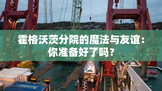 霍格沃茨分院的魔法与友谊：你准备好了吗？