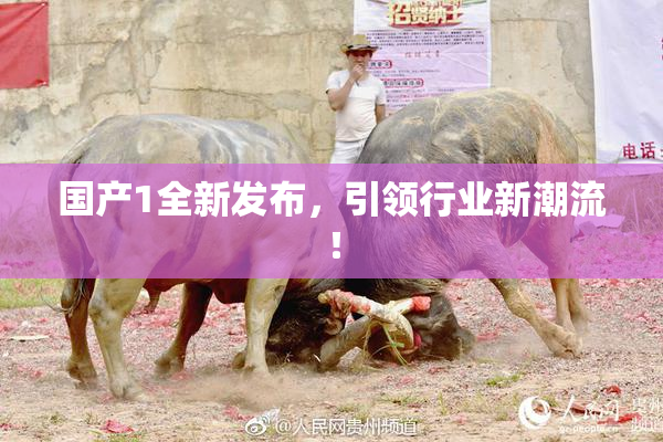 国产1全新发布，引领行业新潮流！