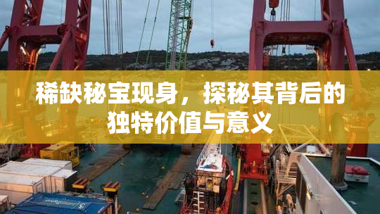 稀缺秘宝现身，探秘其背后的独特价值与意义
