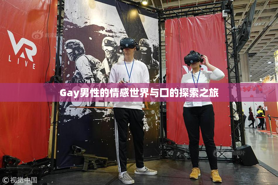 Gay男性的情感世界与囗的探索之旅