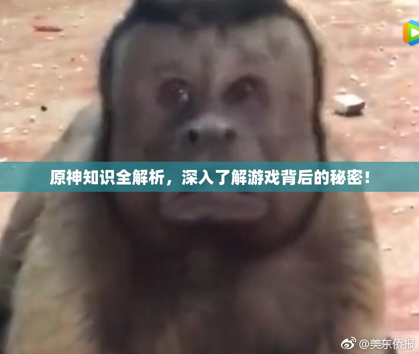原神知识全解析，深入了解游戏背后的秘密！