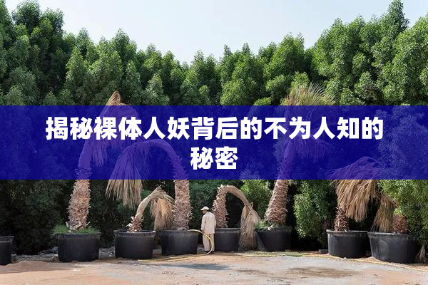 揭秘裸体人妖背后的不为人知的秘密