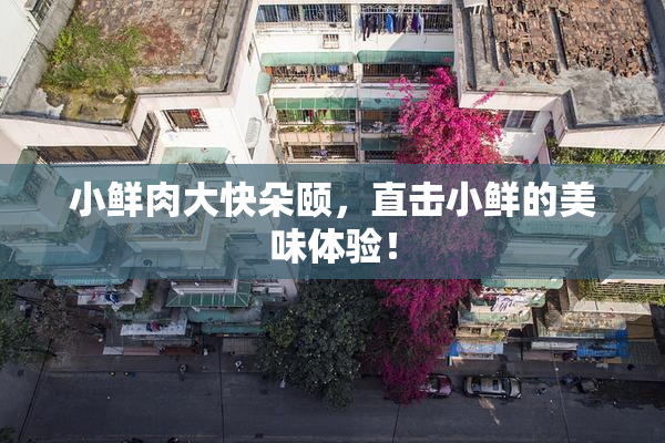 小鲜肉大快朵颐，直击小鲜的美味体验！