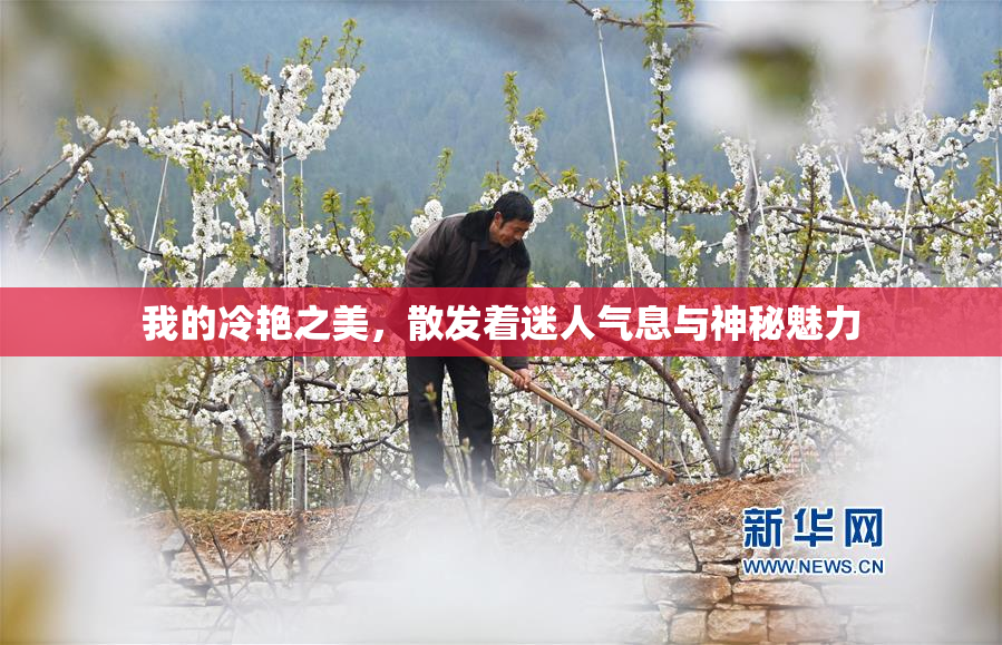 我的冷艳之美，散发着迷人气息与神秘魅力