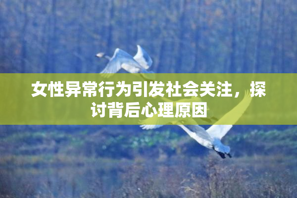 女性异常行为引发社会关注，探讨背后心理原因